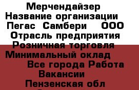 Мерчендайзер › Название организации ­ "Пегас" Самбери-3, ООО › Отрасль предприятия ­ Розничная торговля › Минимальный оклад ­ 23 500 - Все города Работа » Вакансии   . Пензенская обл.,Заречный г.